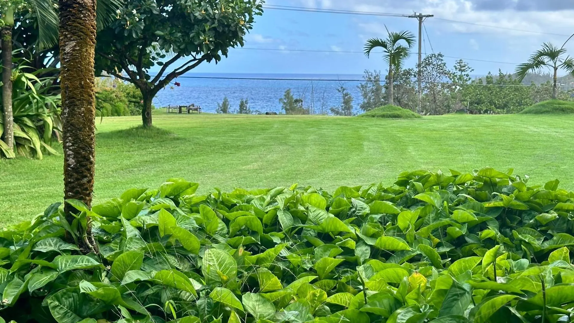 Kehena Beach Guesthouse Pahoa United States